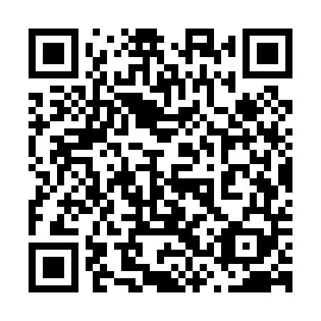 QR code for plate 63W P49
