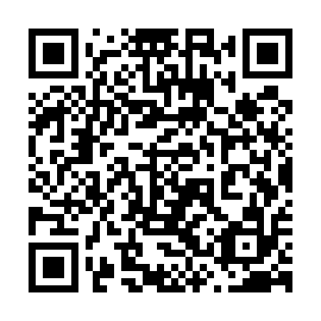 QR code for plate 63W U12