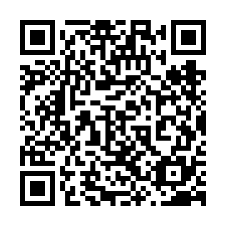QR code for plate 63W VG5