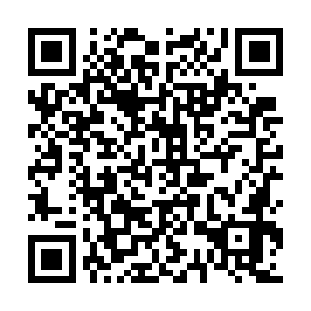 QR code for 63X WO2