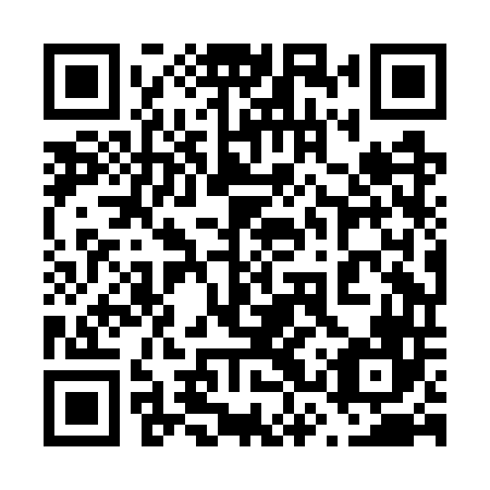 QR code for plate 63X GT6