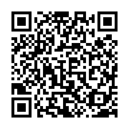 QR code for plate 63Z 519