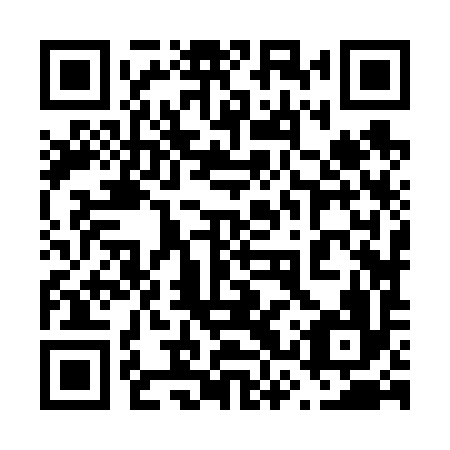 QR code for plate 63Z 696