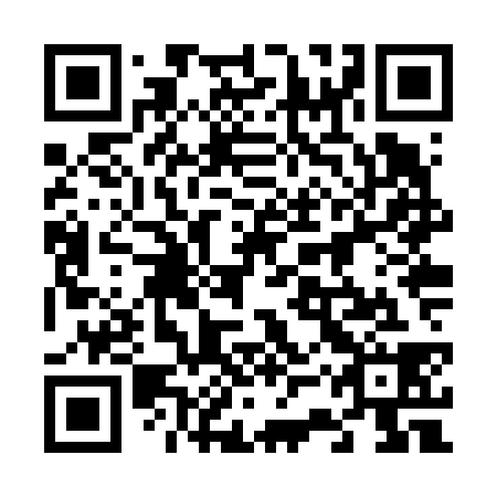 QR code for plate 63Z V38