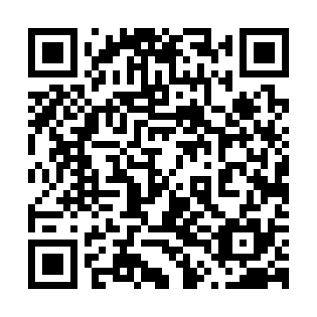 QR code for 64D335