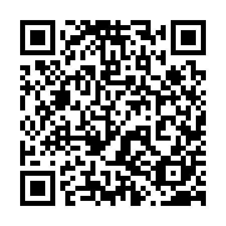 QR code for plate 64F 300