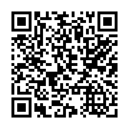 QR code for plate 64R 295