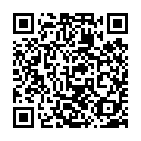 QR code for plate 65C 699