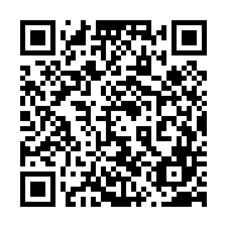 QR code for 65G P46