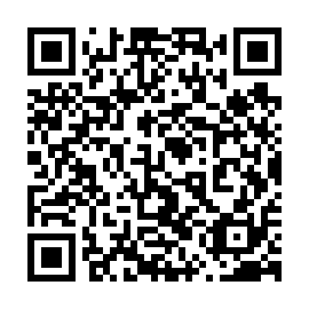 QR code for 65G V10