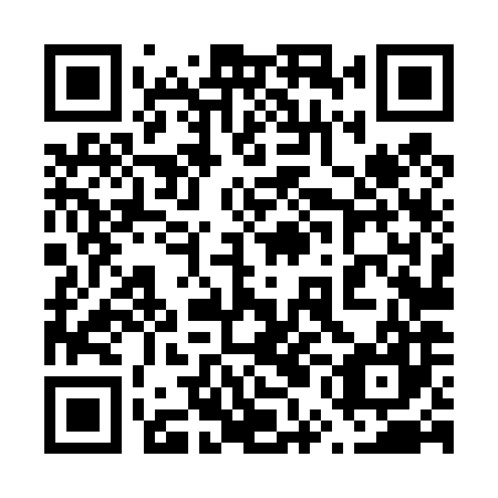 QR code for plate 65L 487