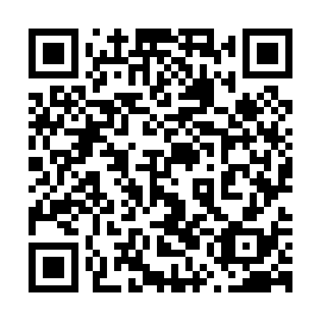 QR code for plate 65O 038