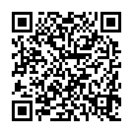 QR code for 65P 390