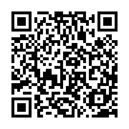 QR code for 65P055
