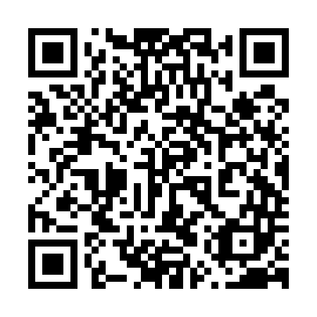 QR code for plate 65R E43
