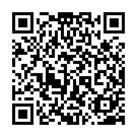 QR code for plate 65T Y01