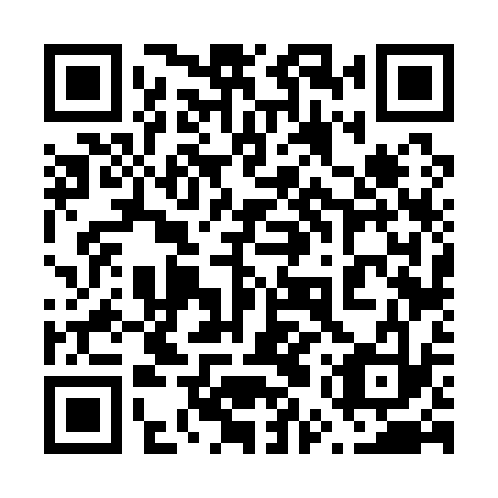 QR code for plate 65V 133