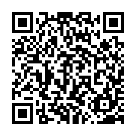 QR code for plate 65V 394