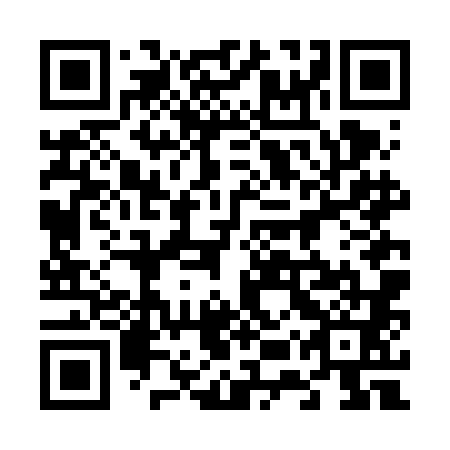 QR code for plate 65V FL1