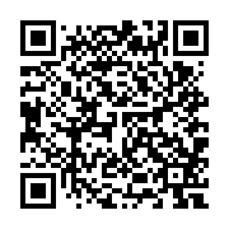 QR code for plate 65V FX3