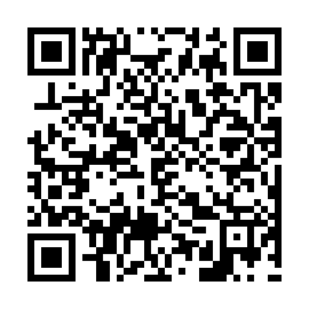 QR code for 65W 387