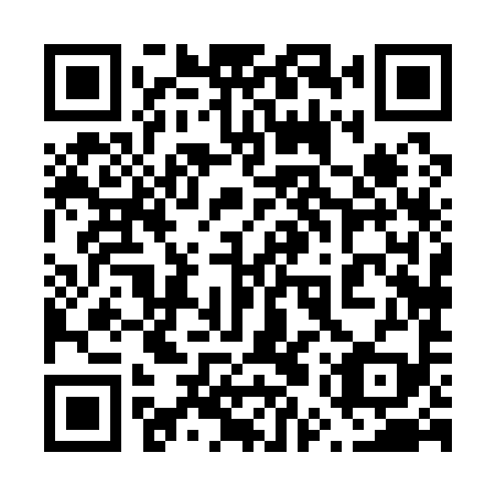 QR code for 65X199