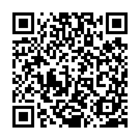 QR code for plate 65Y 641