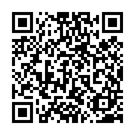 QR code for 65Z T03