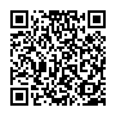 QR code for plate 65Z 038