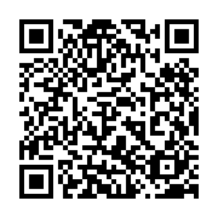 QR code for plate 66M PJ0