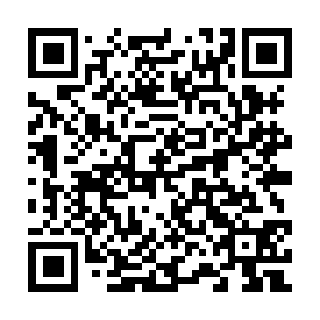 QR code for plate 66M XC0