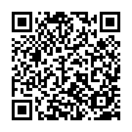 QR code for plate 66N 085