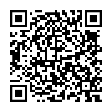QR code for plate 66P L15