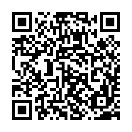 QR code for plate 66R 096