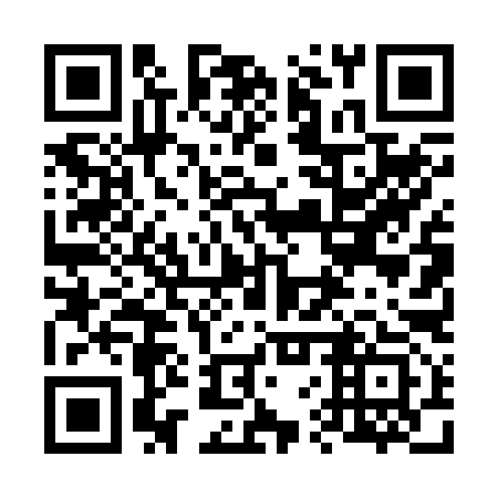 QR code for 66T293