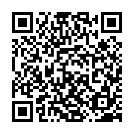 QR code for plate 66V 132