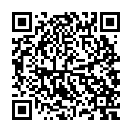 QR code for 66V307