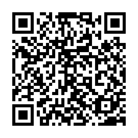 QR code for plate 66V B01