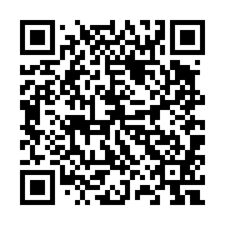 QR code for plate 66V D81