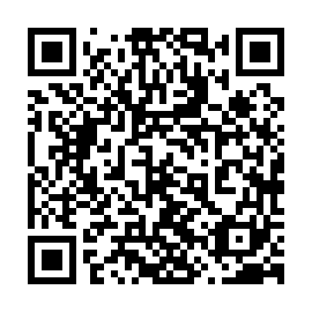 QR code for 66X 161
