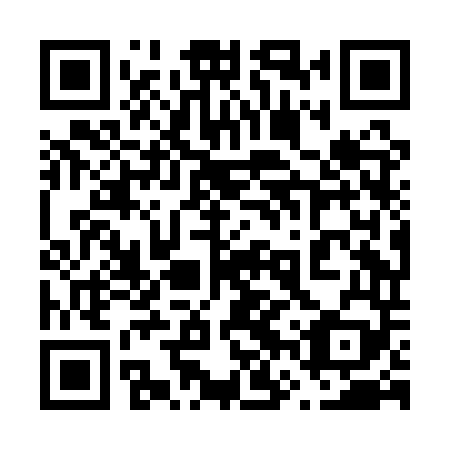 QR code for plate 66X AT9