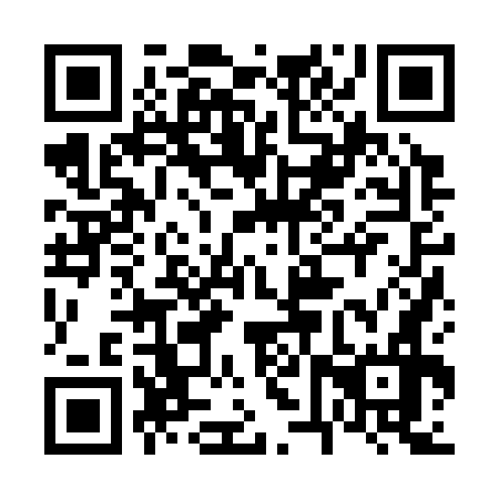 QR code for 66Z376