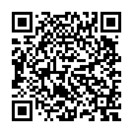 QR code for plate 66Z D80