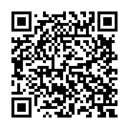 QR code for plate 66Z H46