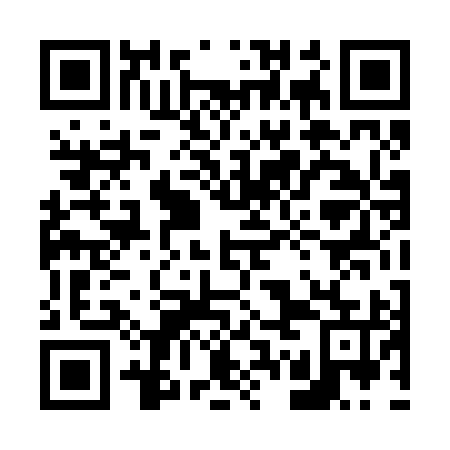 QR code for plate 67D 295