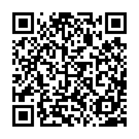 QR code for plate 67P 695