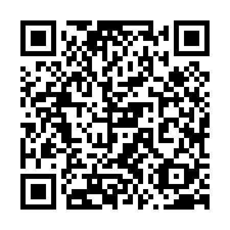 QR code for plate 67Z 029
