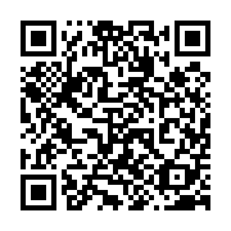 QR code for plate 69A 509