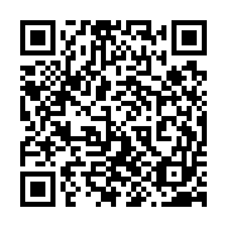 QR code for plate 69A G53