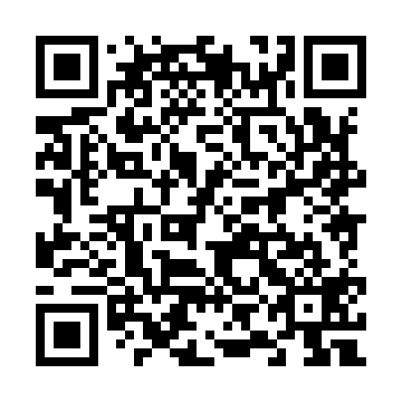 QR code for plate 69H 919